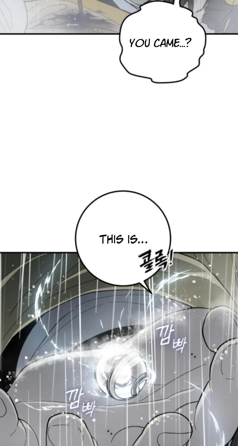 Bari, the thunder that awoke the stars Chapter 8 page 29 - 