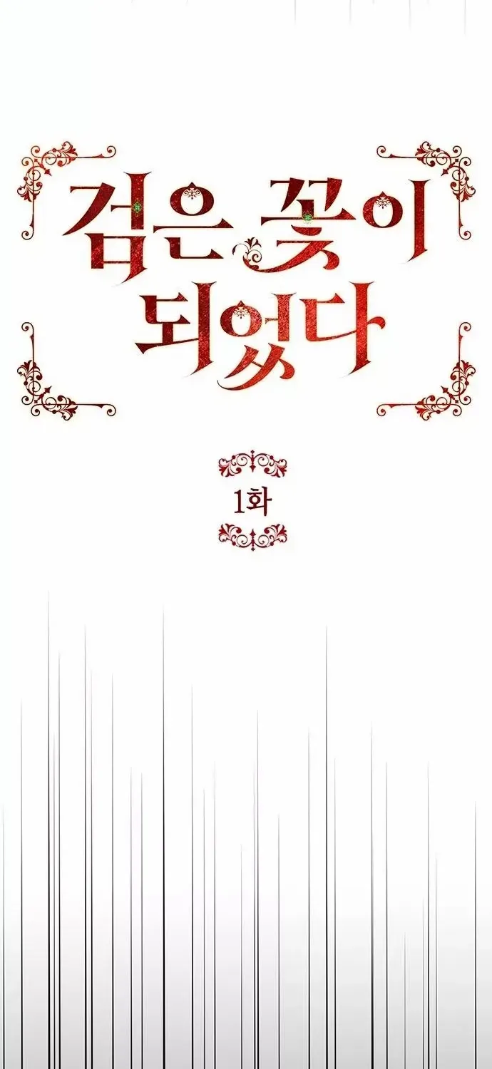 Became a Black Flower Chapter 1 page 36 - 