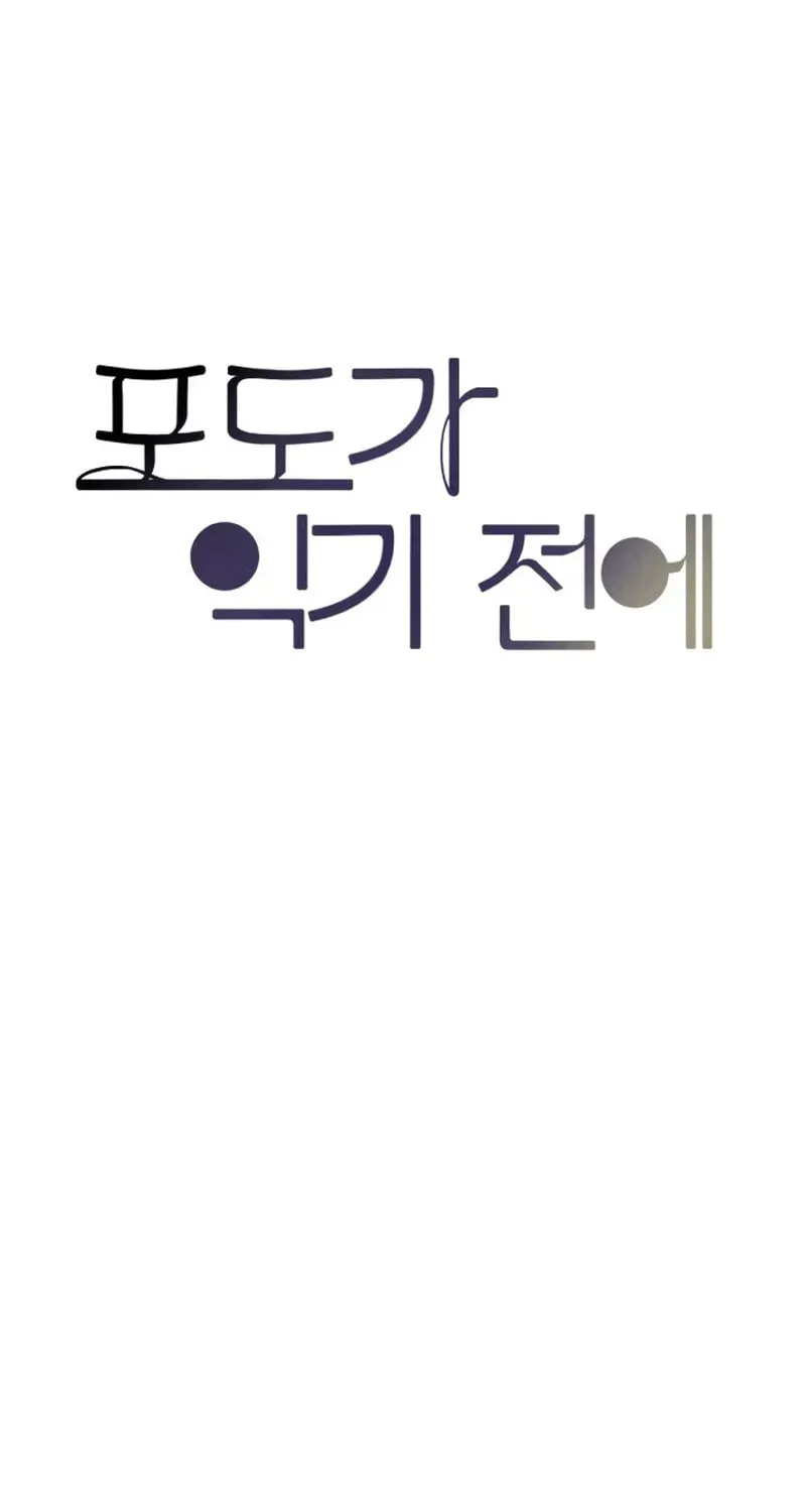 Before the grapes ripen Chapter 1 page 92 - 