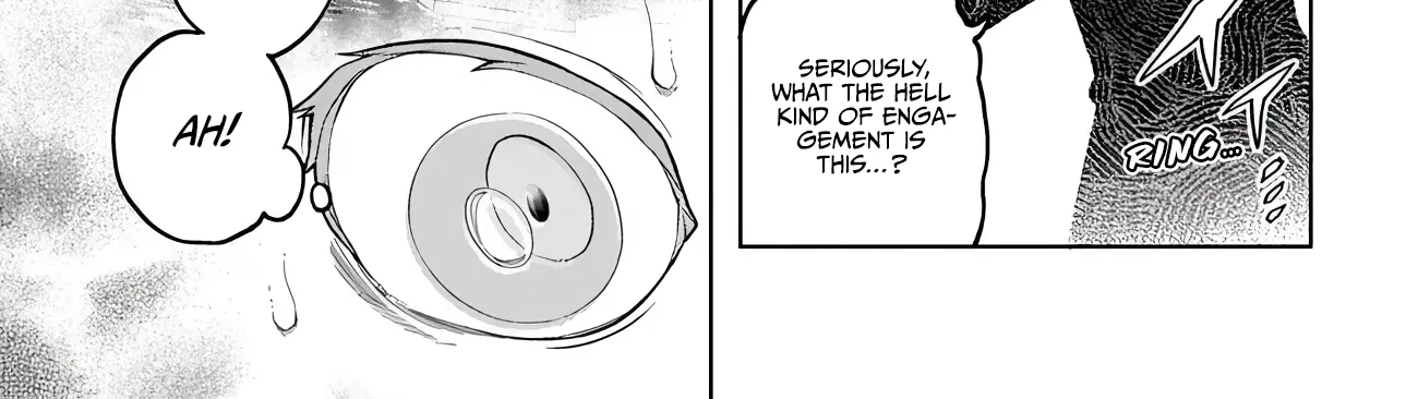 Behemoth no Hanamuko Chapter 13 page 46 - 