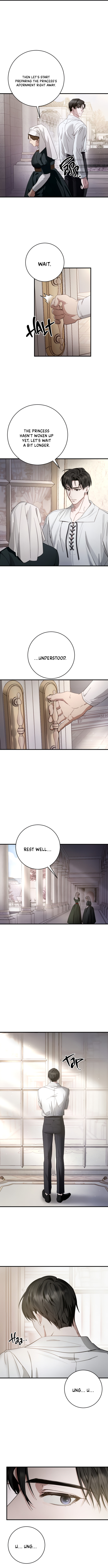 Behind Her Highness