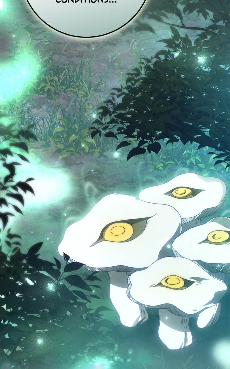 Behind Her Highness