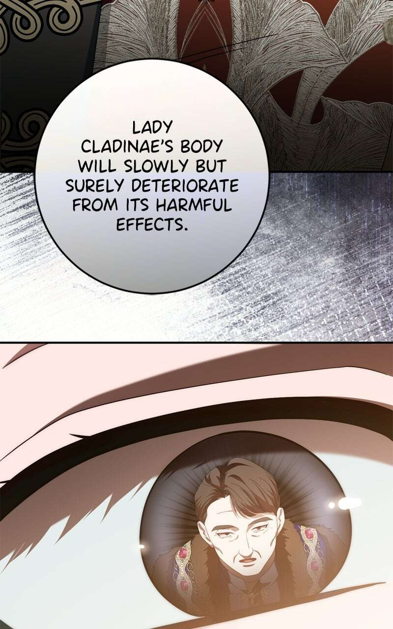 Behind Her Highness