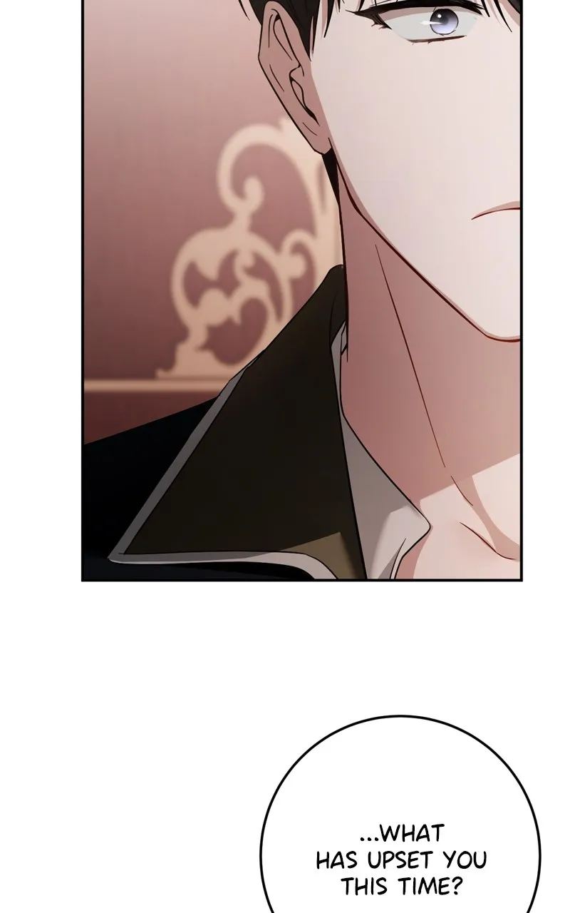 Behind Her Highness’s Smile Chapter 13 page 21 - 