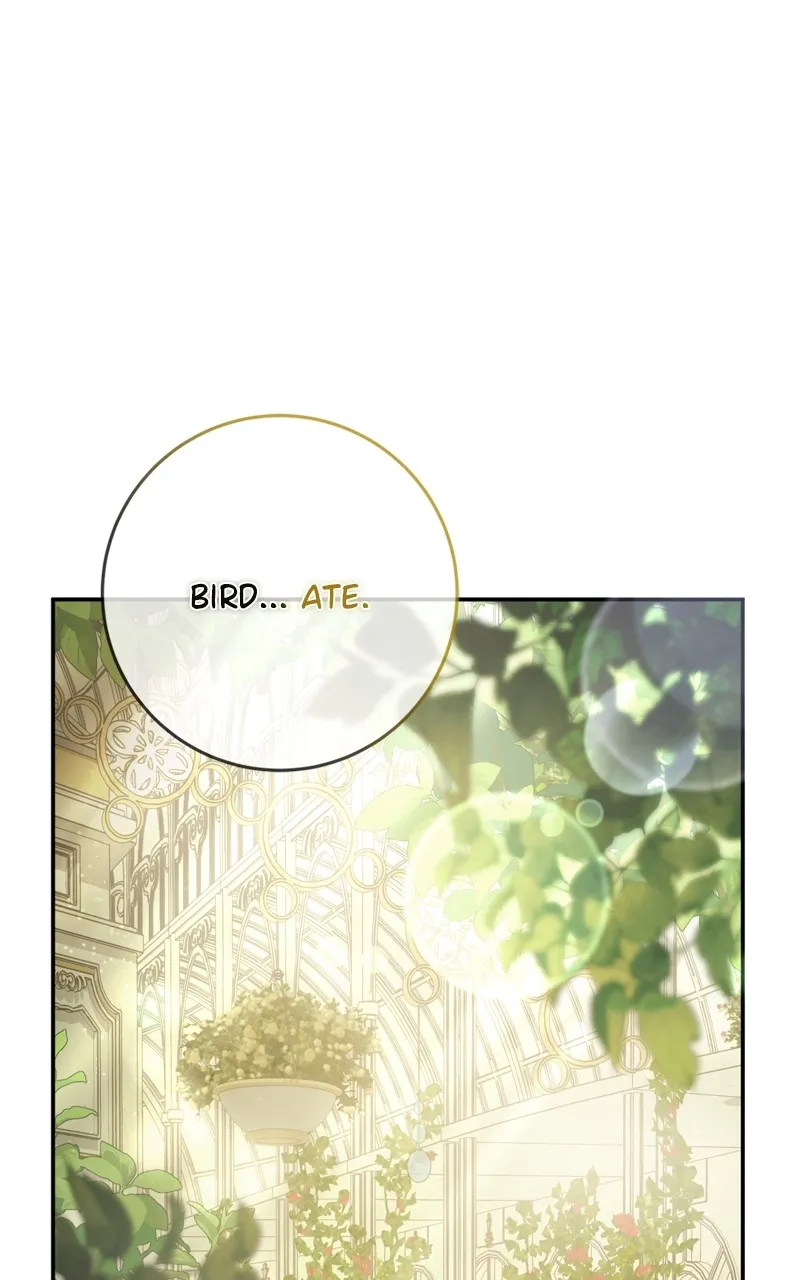 Behind Her Highness’s Smile Chapter 15 page 13 - 