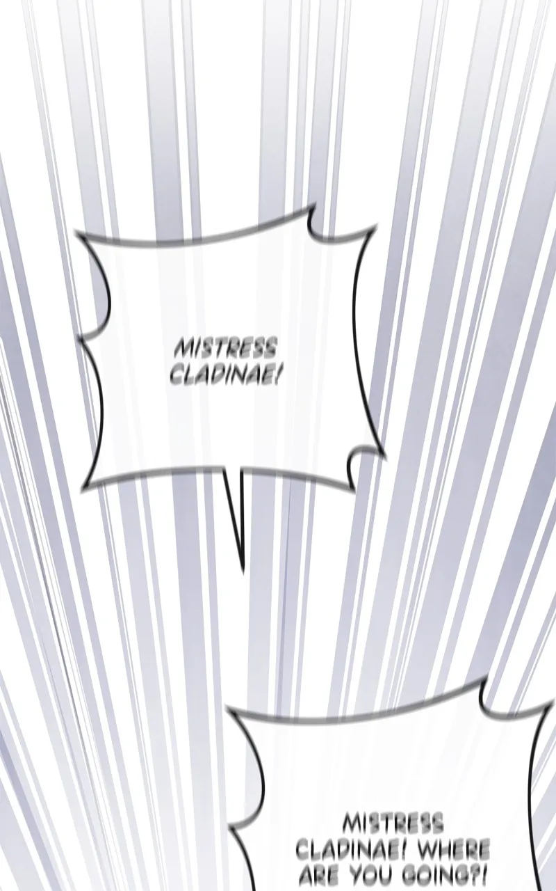 Behind Her Highness’s Smile Chapter 17 page 65 - 
