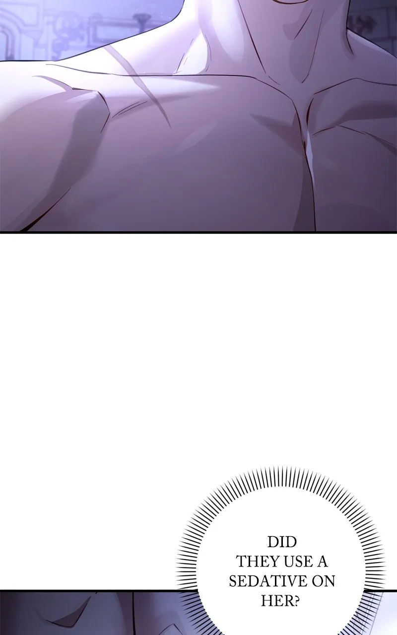 Behind Her Highness’s Smile Chapter 2 page 3 - 