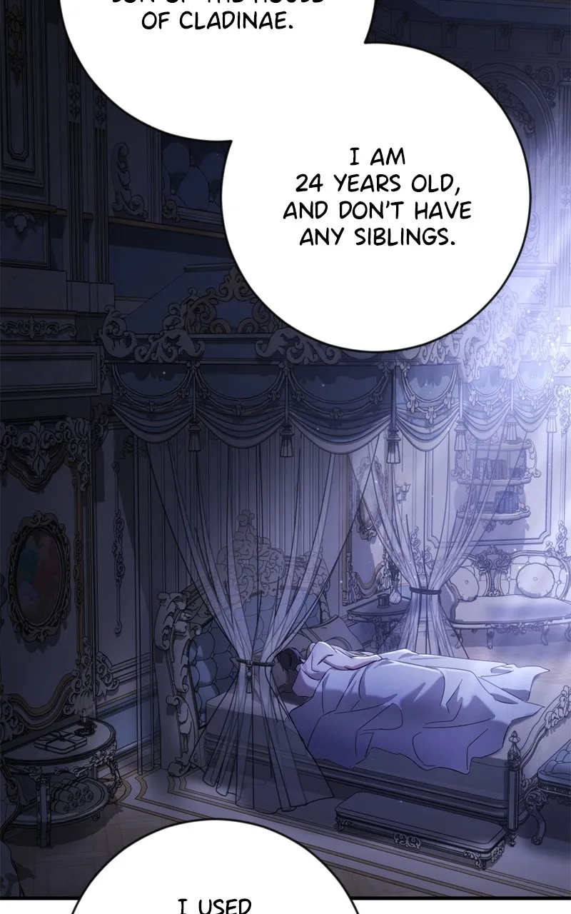 Behind Her Highness’s Smile Chapter 2 page 26 - 