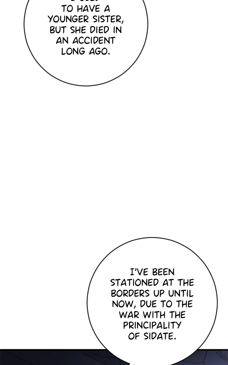 Behind Her Highness’s Smile Chapter 2 page 27 - 