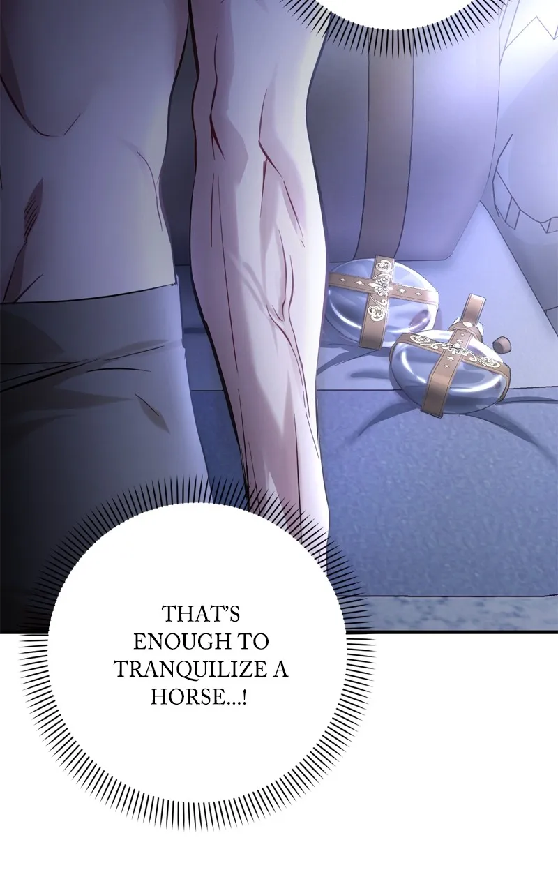 Behind Her Highness’s Smile Chapter 2 page 4 - 