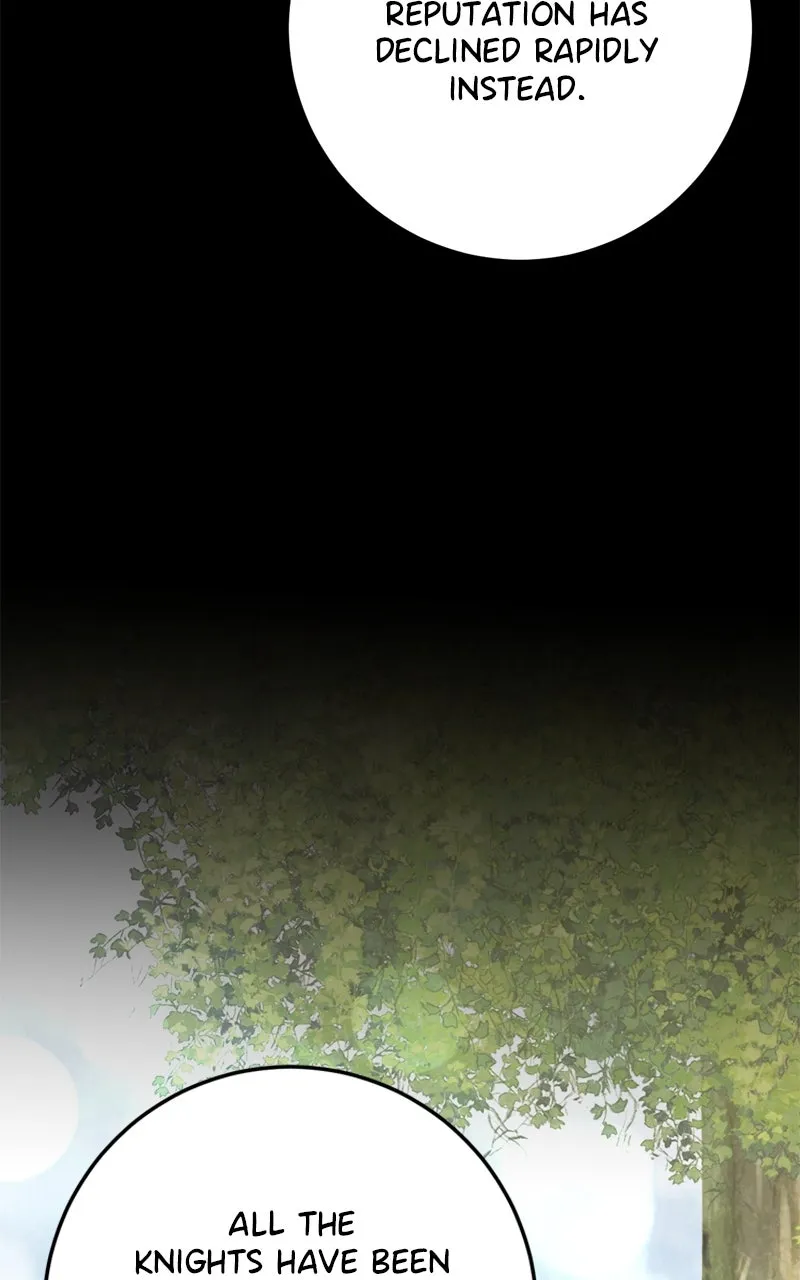 Behind Her Highness’s Smile Chapter 23 page 46 - 