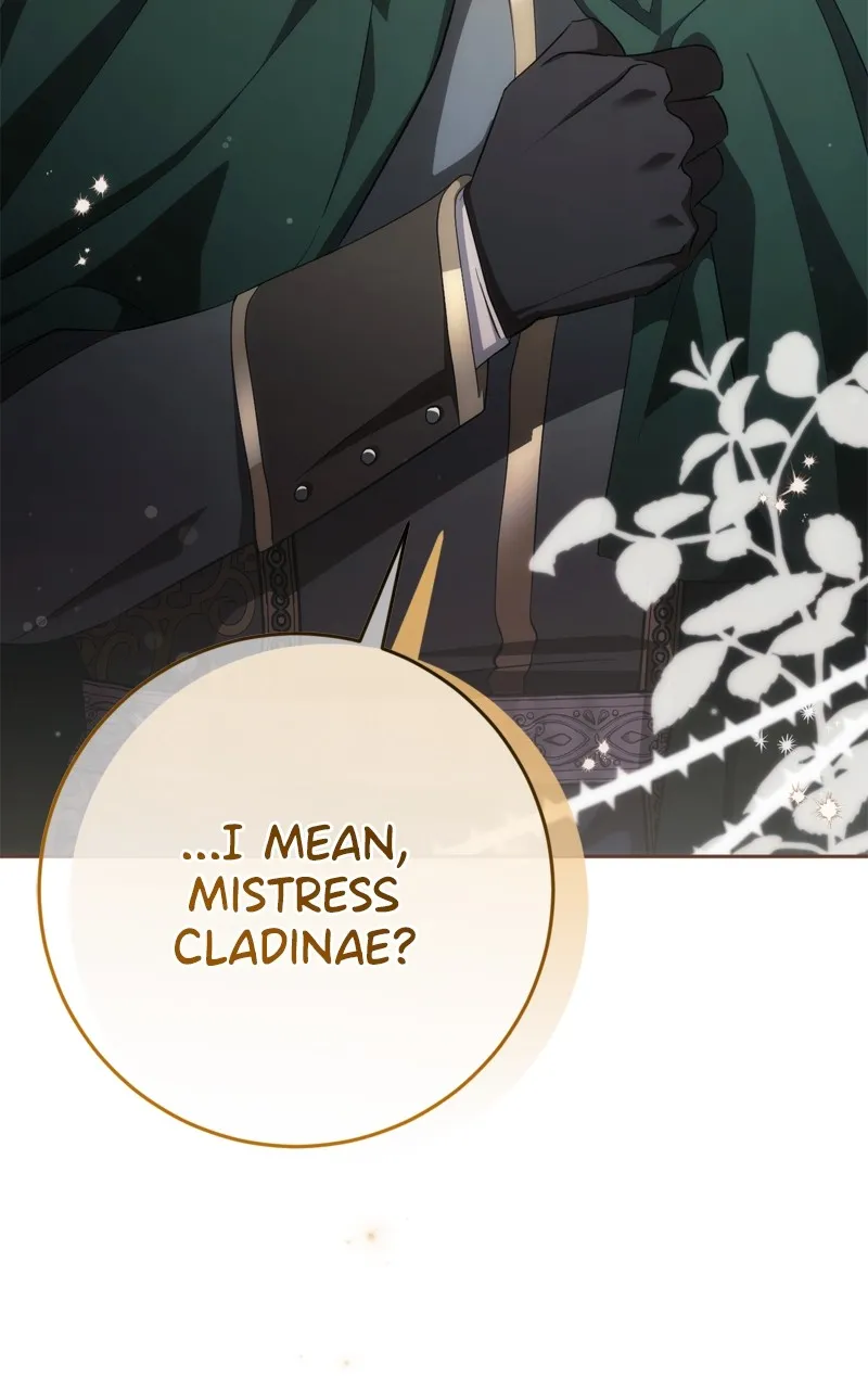 Behind Her Highness’s Smile Chapter 34 page 146 - 