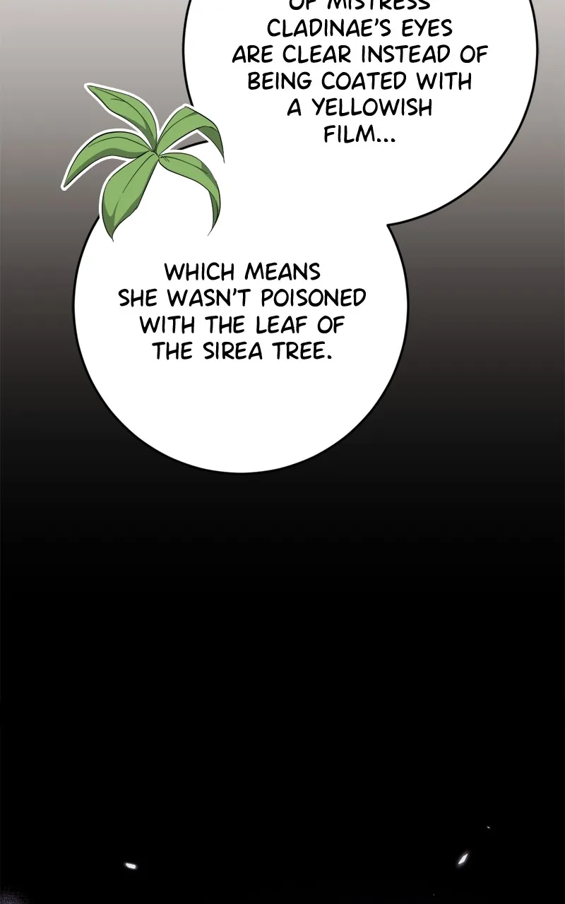Behind Her Highness’s Smile Chapter 43 page 34 - 