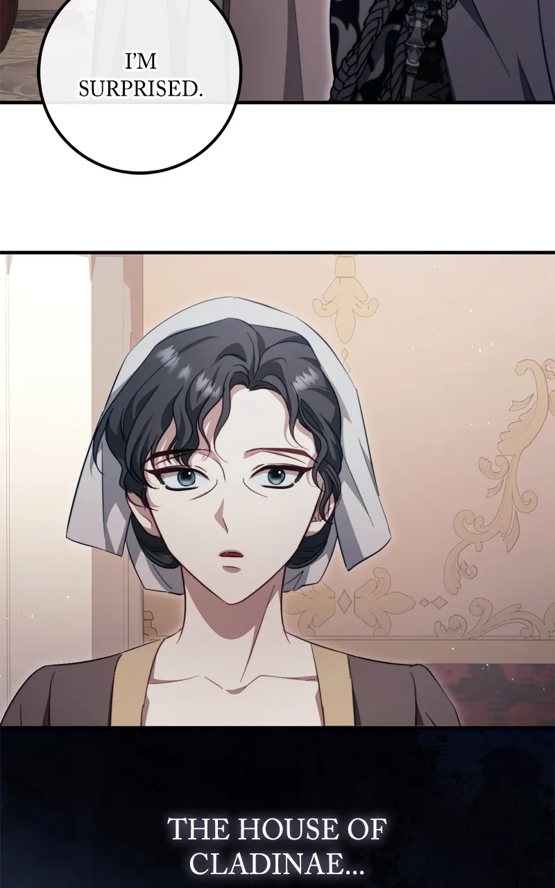 Behind Her Highness’s Smile Chapter 45 page 19 - 