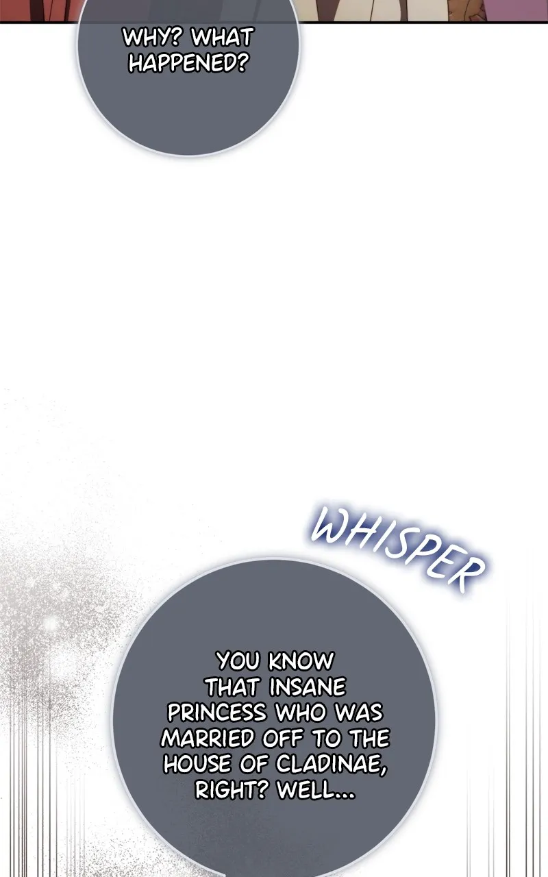 Behind Her Highness’s Smile Chapter 46 page 44 - 