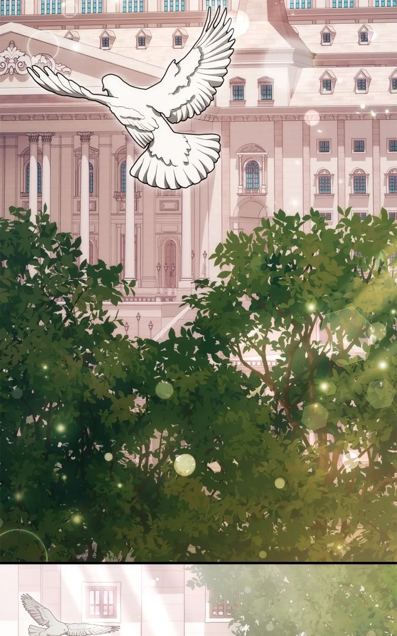 Behind Her Highness’s Smile Chapter 51 page 3 - 