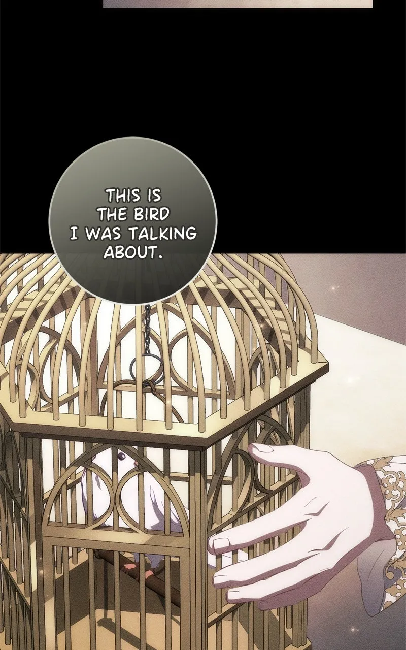Behind Her Highness’s Smile Chapter 52 page 112 - 