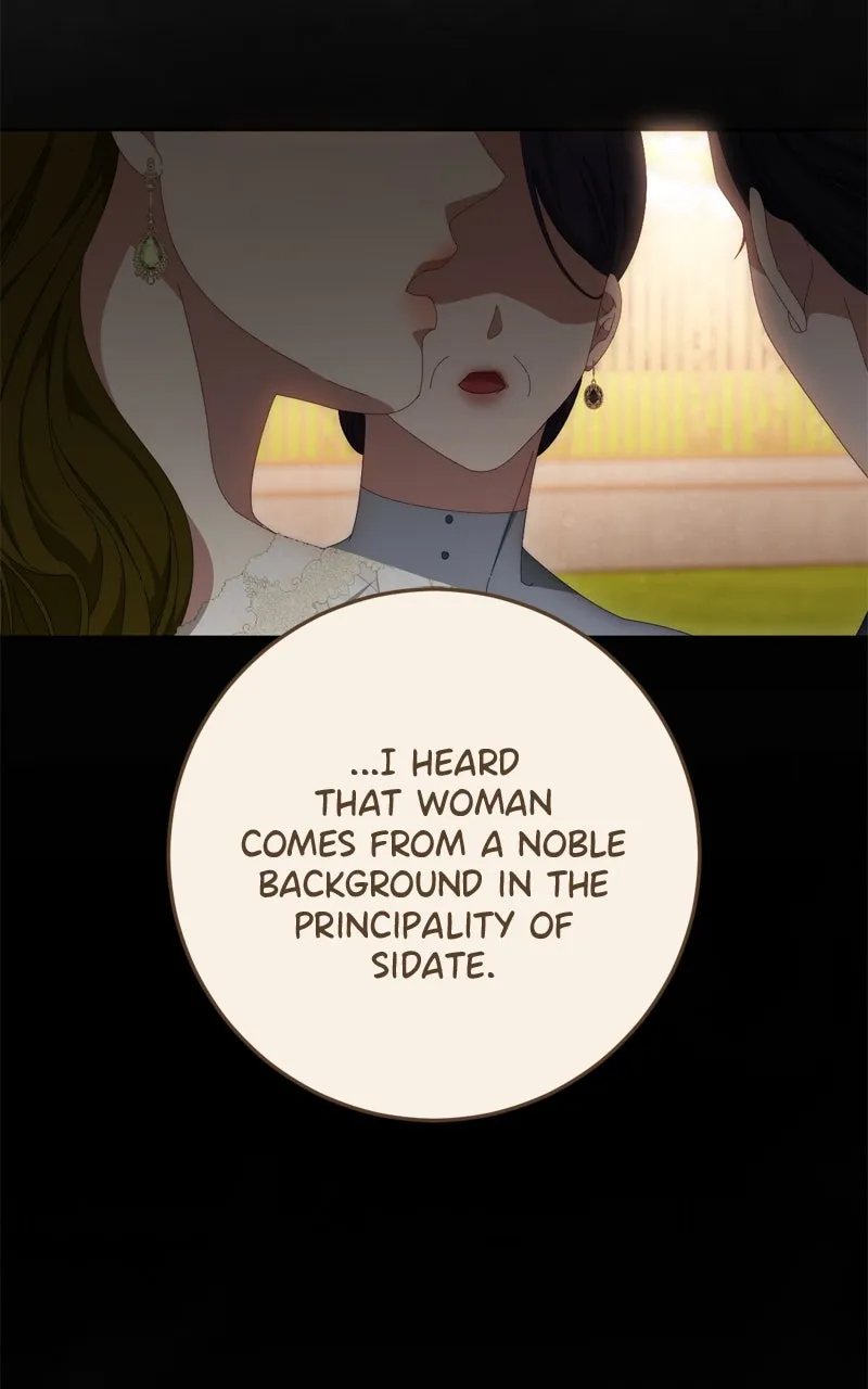 Behind Her Highness’s Smile Chapter 54 page 16 - 