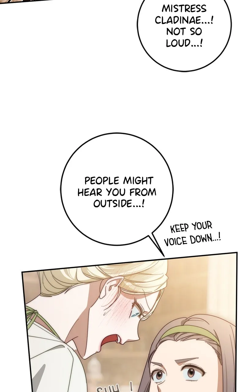 Behind Her Highness’s Smile Chapter 64 page 19 - 