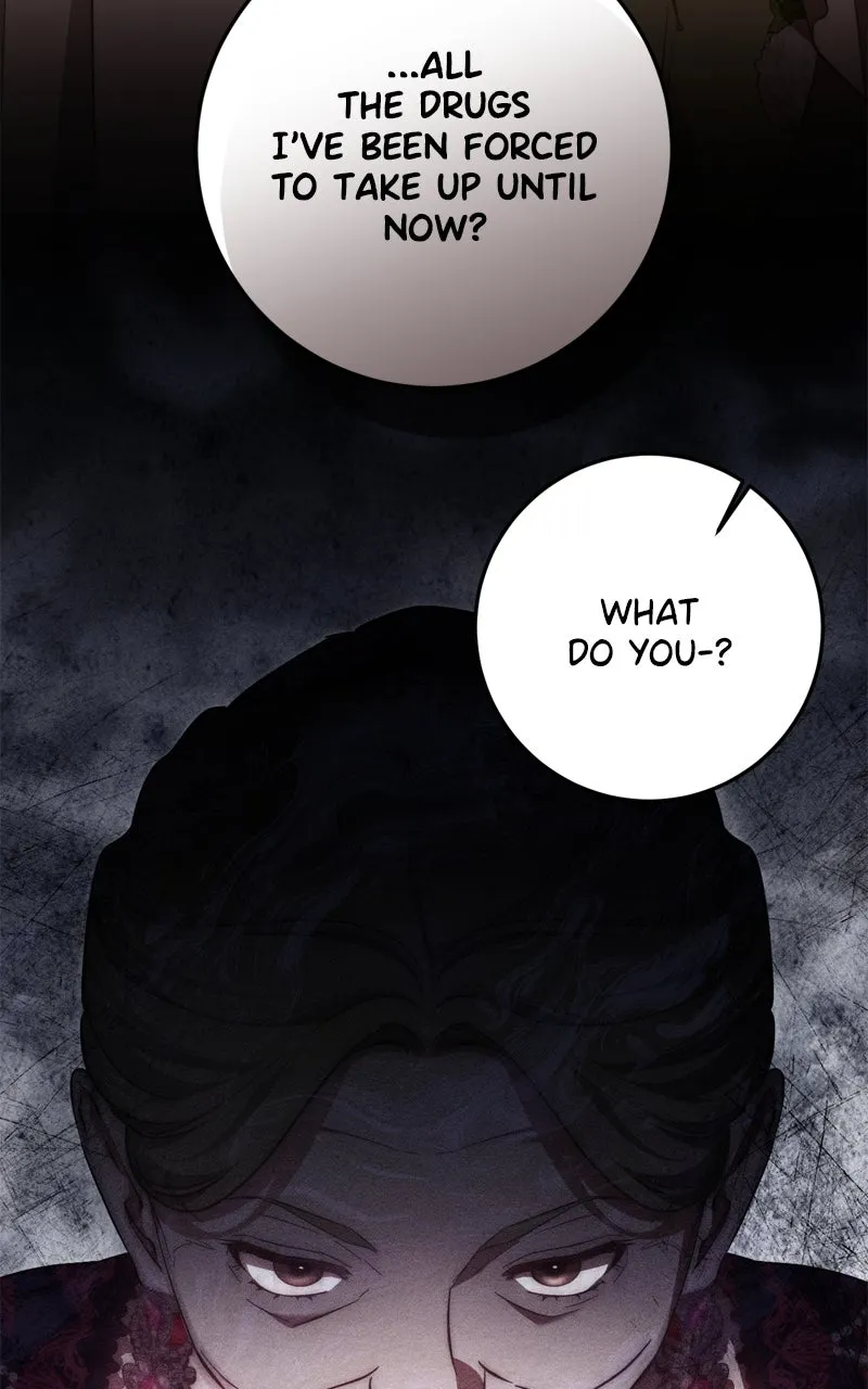 Behind Her Highness’s Smile Chapter 64 page 47 - 