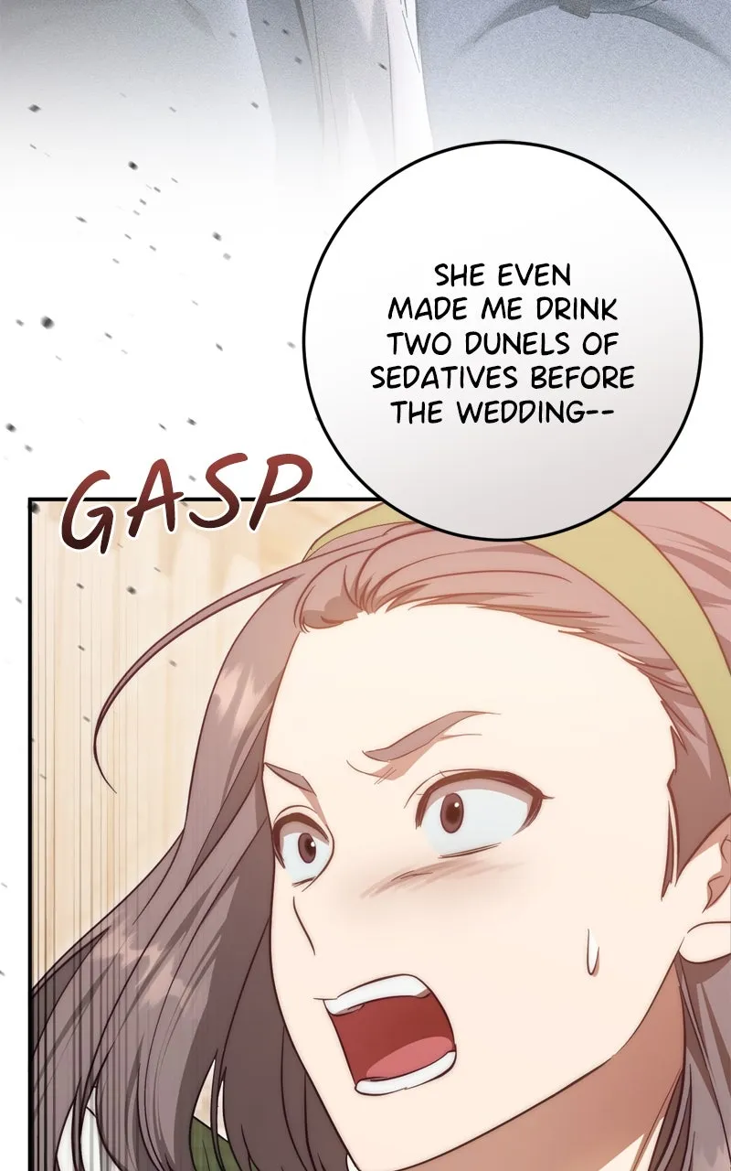 Behind Her Highness’s Smile Chapter 64 page 53 - 