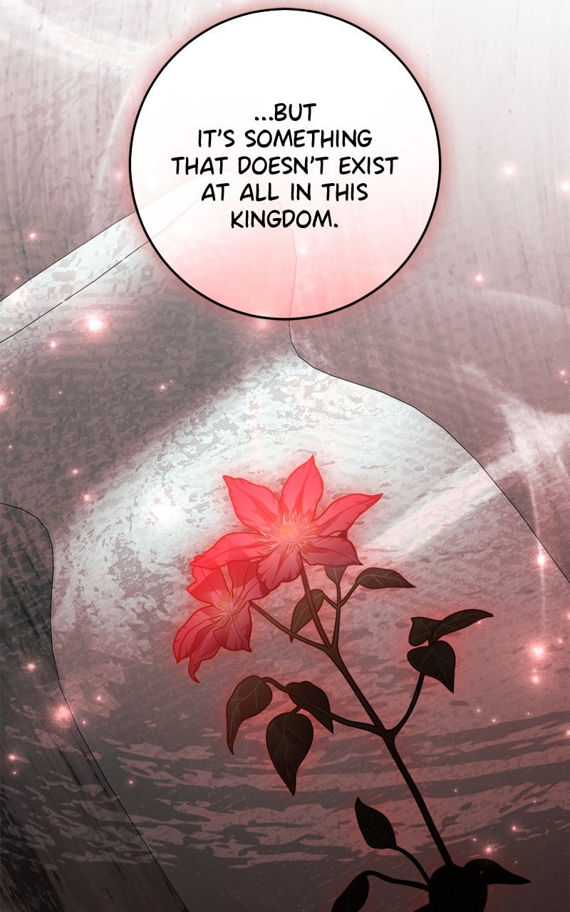 Behind Her Highness’s Smile Episode 76 page 96 - 