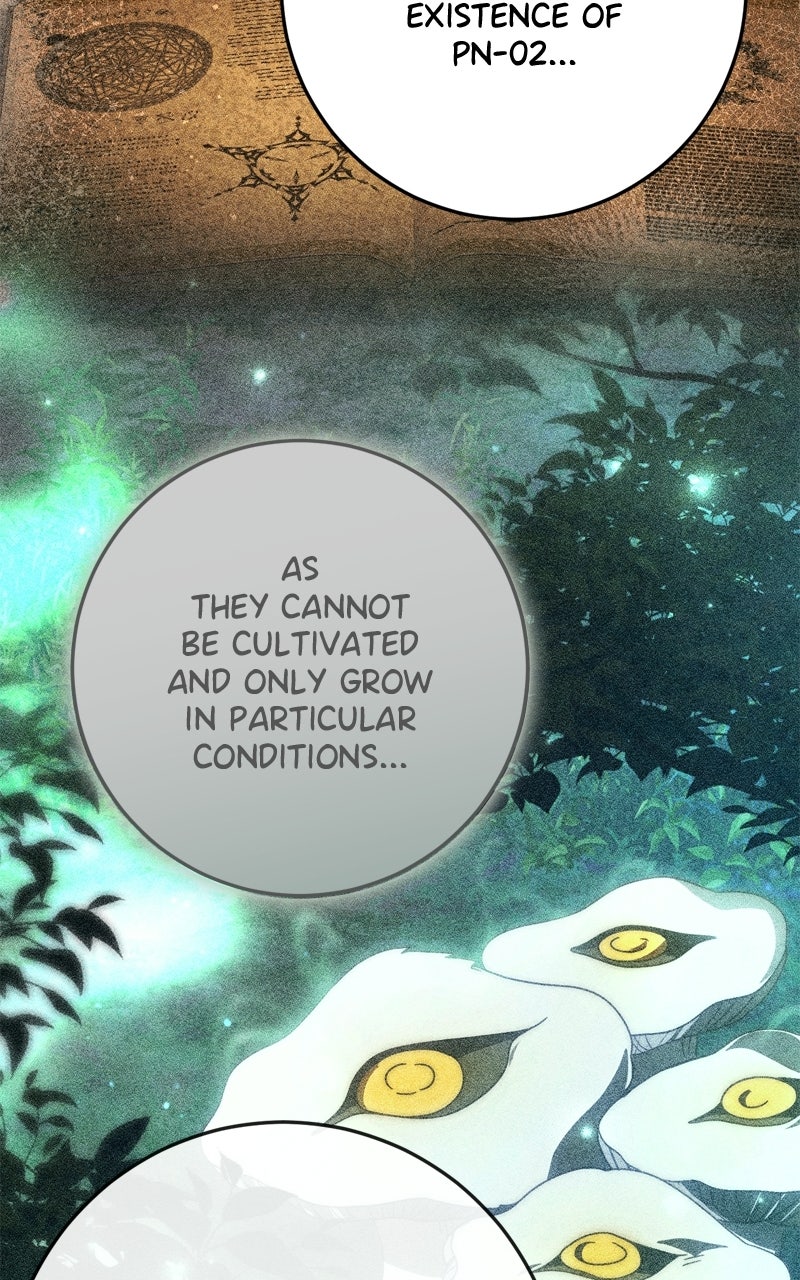 Behind Her Highness’s Smile Episode 84 page 88 - 