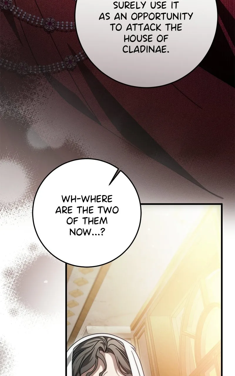 Behind Her Highness’s Smile Chapter 87 page 80 - 