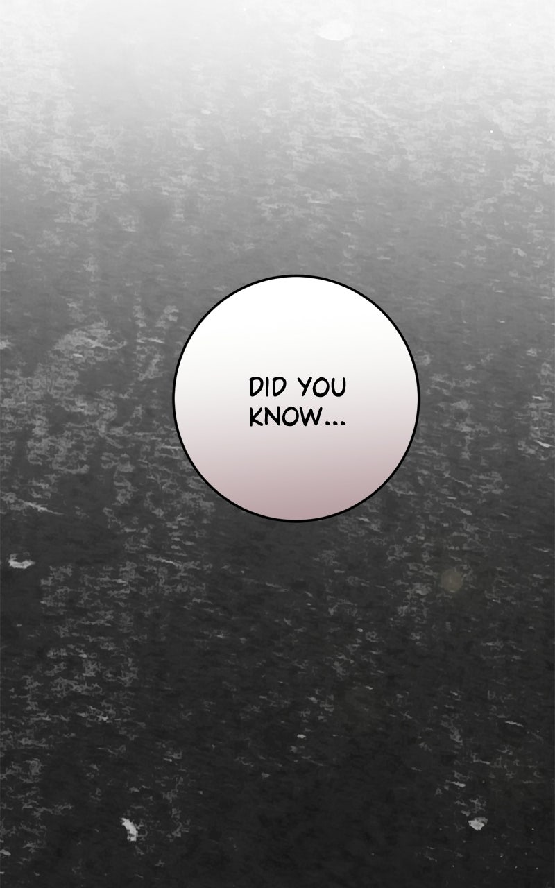 Behind Her Highness’s Smile Episode 88 page 121 - 