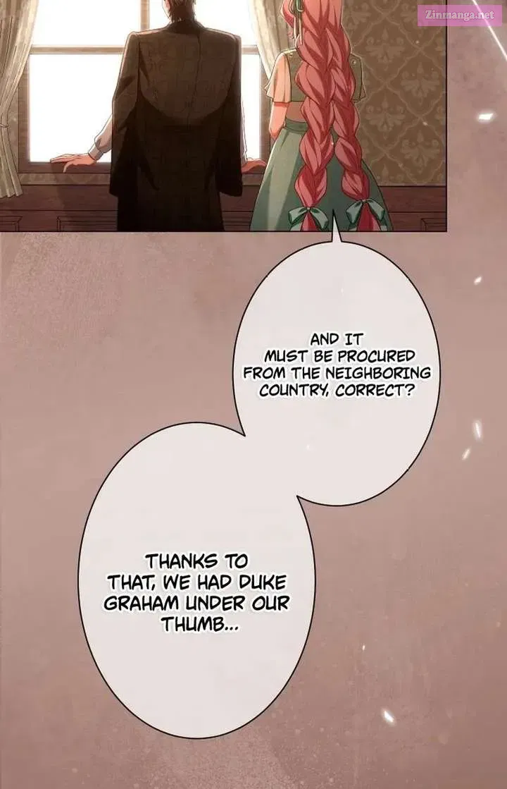 Behold The Perfect Villainess Chapter 33 page 10 - 