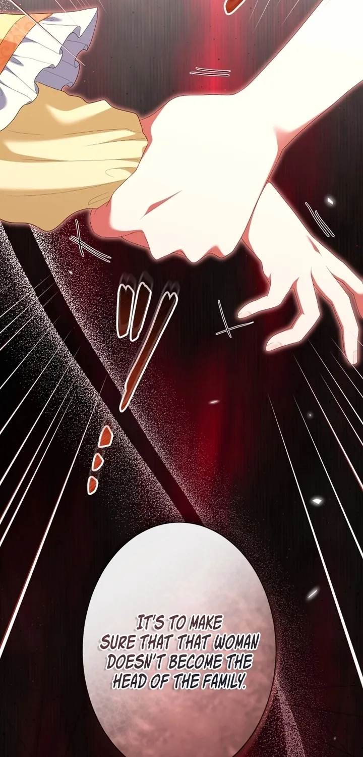 Behold The Perfect Villainess Chapter 38 page 25 - 