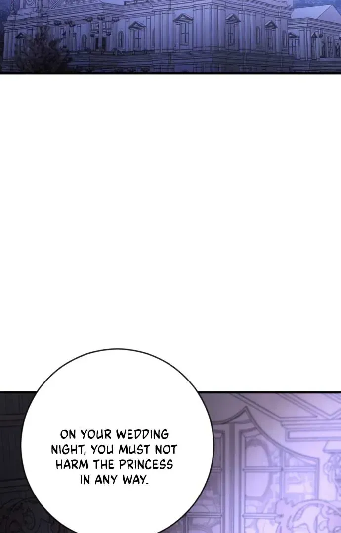 Beneath the Surviving Princess Joyful Facade Chapter 1.1 page 163 - 