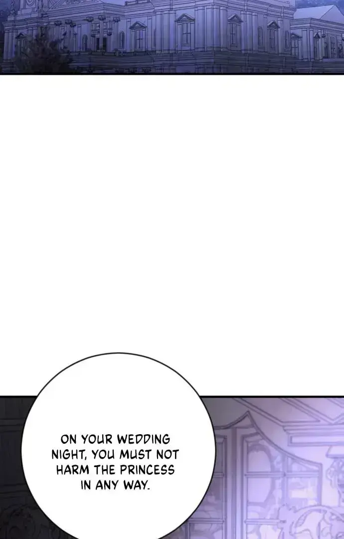 Beneath the Surviving Princess Joyful Facade Chapter 1.7 page 163 - 