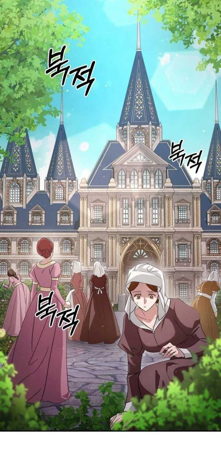 Beneath the Surviving Princess Joyful Facade Chapter 10 page 11 - 