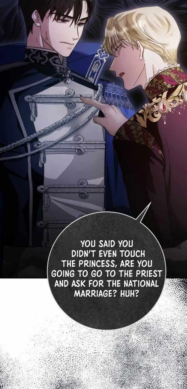 Beneath the Surviving Princess Joyful Facade Chapter 11 page 27 - 