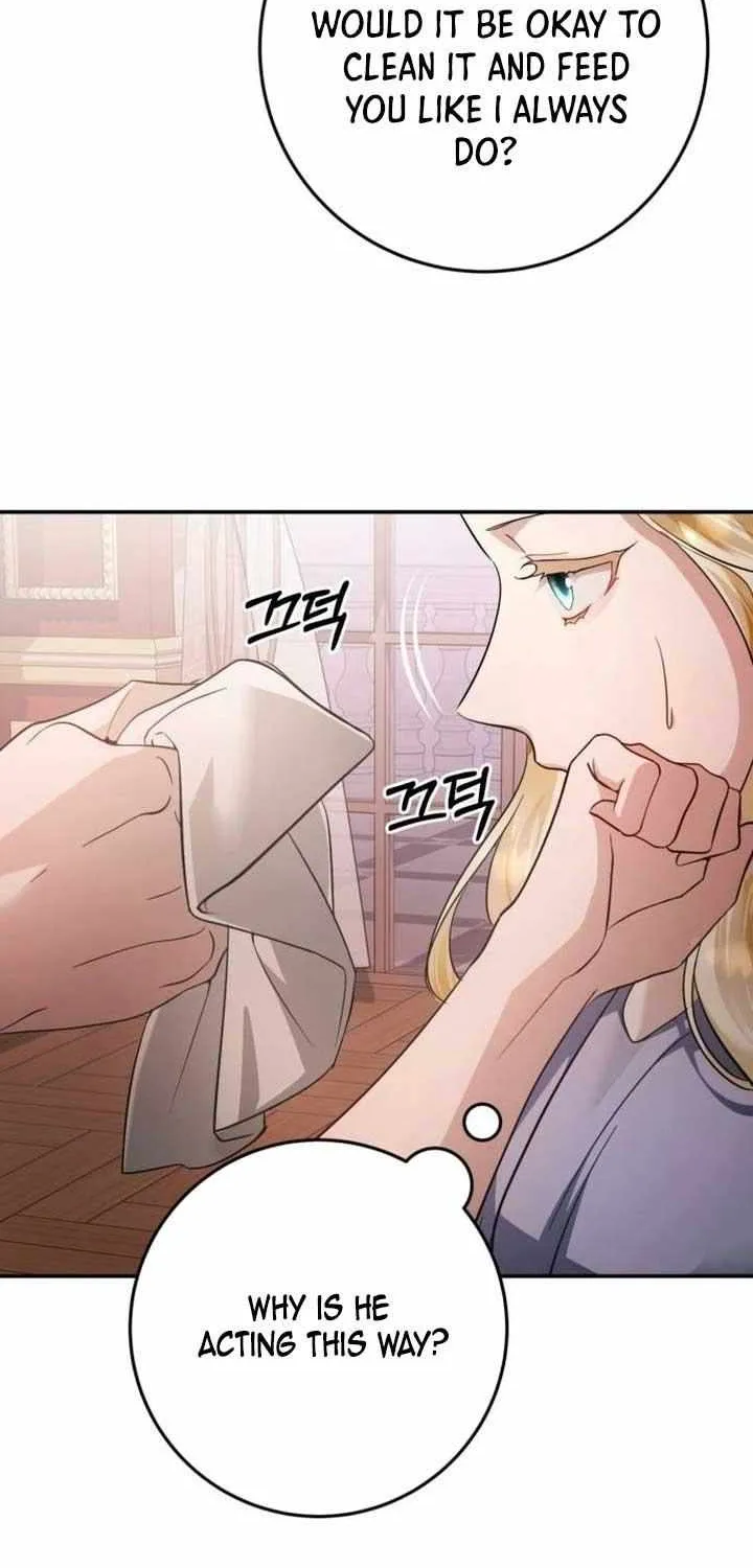 Beneath the Surviving Princess Joyful Facade Chapter 13 page 29 - 