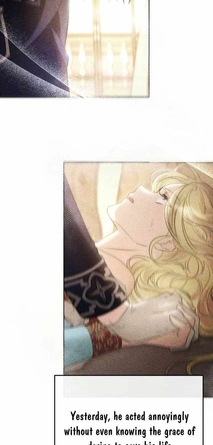 Beneath the Surviving Princess Joyful Facade Chapter 14 page 53 - 