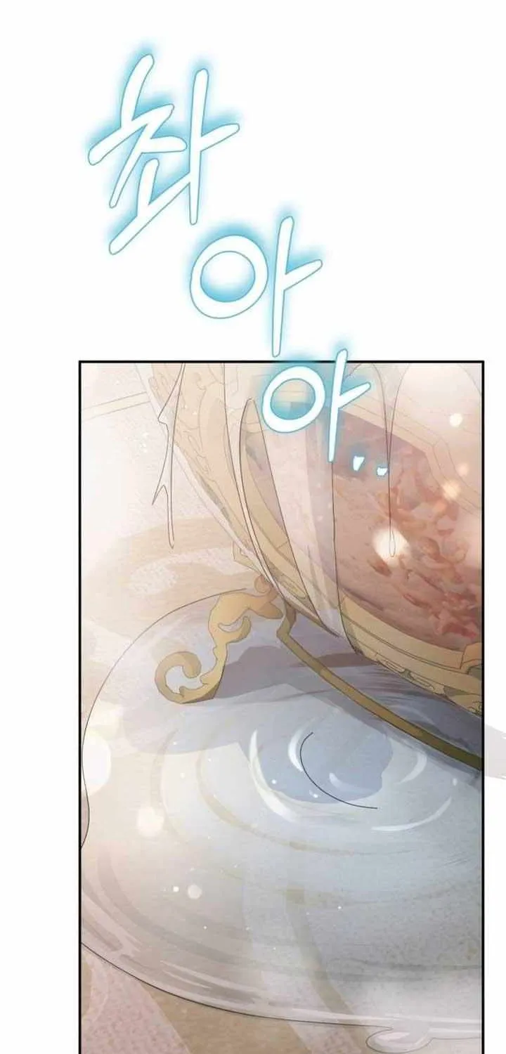 Beneath the Surviving Princess Joyful Facade Chapter 14 page 10 - 