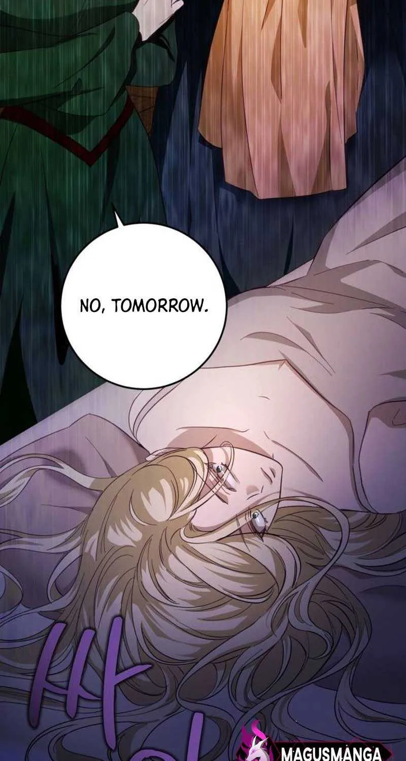 Beneath the Surviving Princess Joyful Facade Chapter 17 page 19 - 