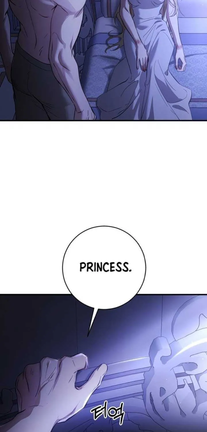 Beneath the Surviving Princess Joyful Facade Chapter 2 page 17 - 