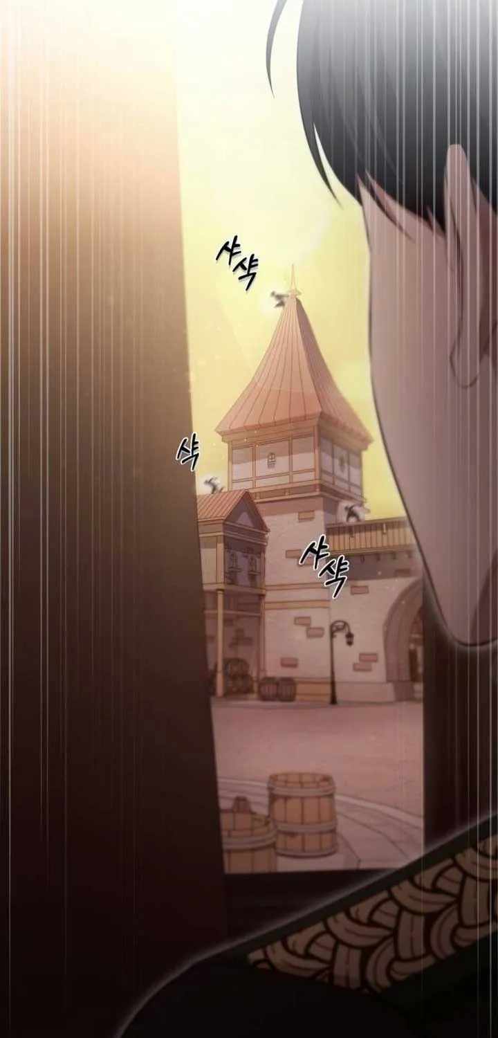 Beneath the Surviving Princess Joyful Facade Chapter 25 page 36 - 