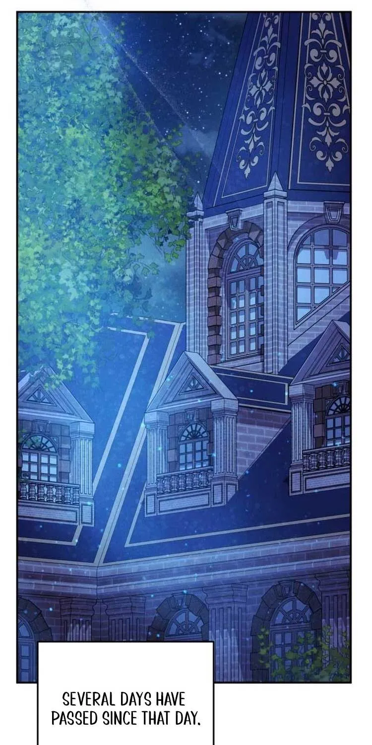 Beneath the Surviving Princess Joyful Facade Chapter 26 page 36 - 