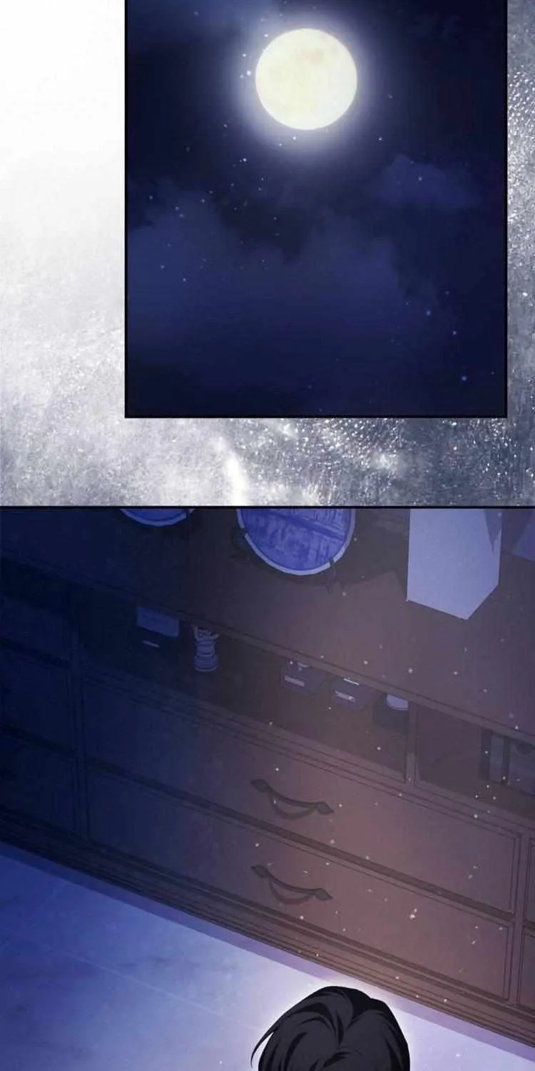 Beneath the Surviving Princess Joyful Facade Chapter 27 page 5 - 