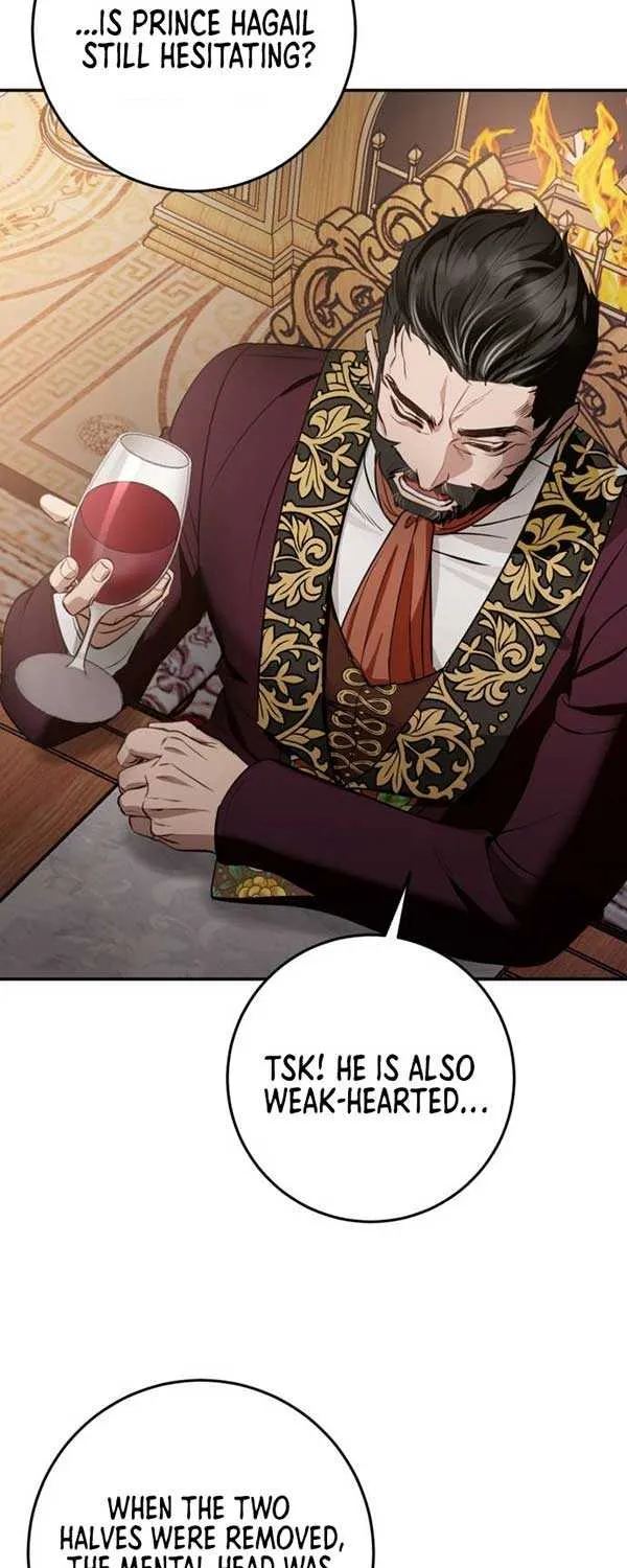 Beneath the Surviving Princess Joyful Facade Chapter 3 page 25 - 
