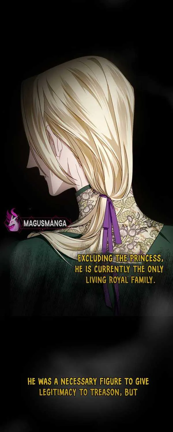Beneath the Surviving Princess Joyful Facade Chapter 3 page 27 - 