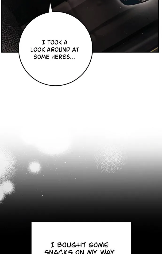 Beneath the Surviving Princess Joyful Facade Chapter 30 page 19 - 