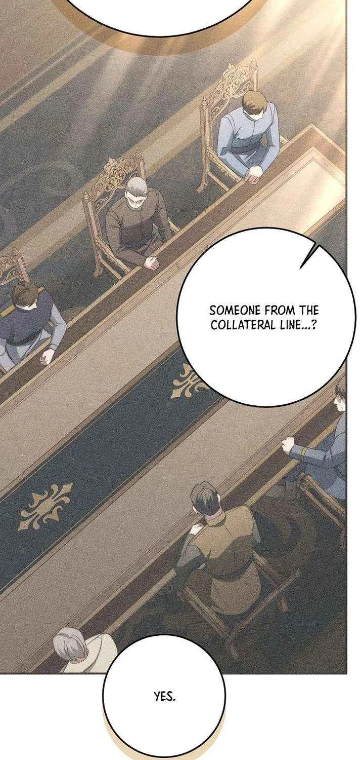Beneath the Surviving Princess Joyful Facade Chapter 71 page 27 - 