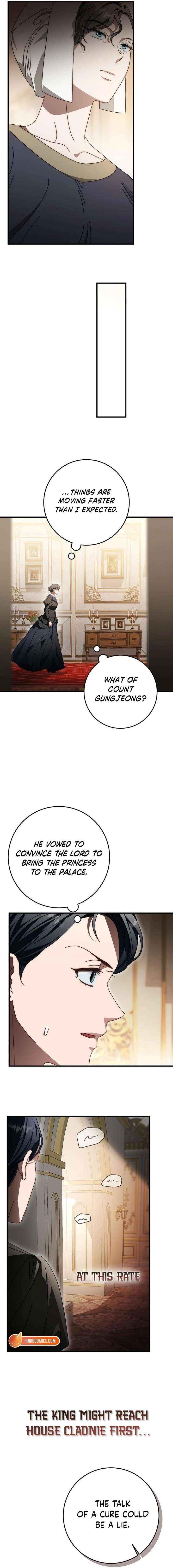 Beneath the Surviving Princess Joyful Facade Chapter 87 page 17 - 