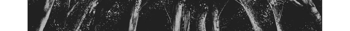 Berserk of Gluttony Chapter 11 page 4 - 
