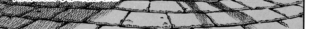 Berserk Chapter 11 page 46 - 